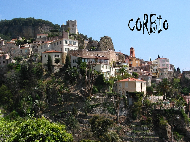 0027 CORBIO copy.jpg
